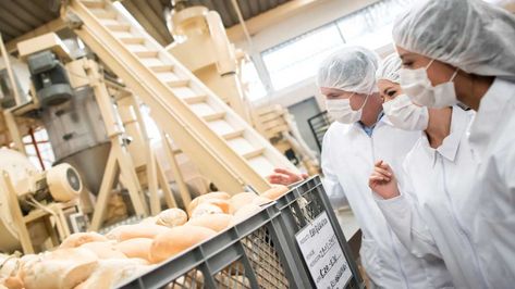 Met HACCP certificering beperkt u risico's op het gebied van voedselveiligheid aantoonbaar tot een minimum